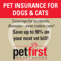 Pet Insurance for Dogs and Cats